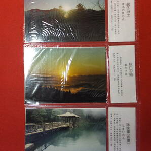 民国74年 (1985年) 当時もの 台湾 阿里山風景照片 阿里山風景写真 10枚組 中古の画像8