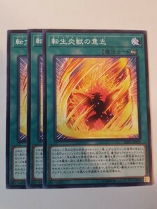 遊戯王 転生炎獣の意志 三枚 数量5