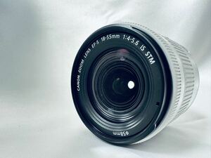 【外観美品】 キヤノン Canon EF-S 18-55mm F4-5.6 IS STM ☆シルバーレンズ☆ #L-0090