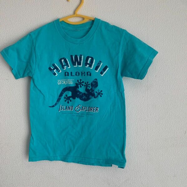 半袖　HAWAII Tシャツ　最終価格