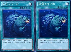 遊戯王 ノーマル 魔法 2枚セット 強欲なウツボ SD23