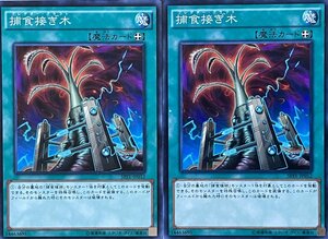 遊戯王 ノーマル 魔法 2枚セット 捕食接ぎ木 SPFE