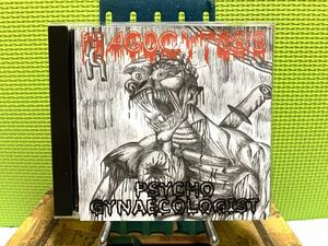 PHAGOCYTOSIS Psycho Gynaecologist ゴアグラインド ノイズグラインド Noise Gore Grind Core グラインドコア fecal matter