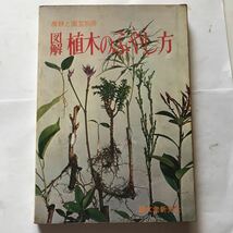 農耕と園芸別冊　図解　植木のふやし方　誠文堂新光社_画像1