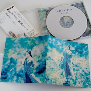 椎名へきる HEKIRU SHIINA /shiena 帯付CD SONY SRCL2939 94年デビューアルバム,松原正樹,鳥山雄司,梶原順,山川恵美子,へきへき,へきちゃんの画像3