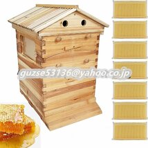 新入荷☆蜜蜂巣箱 ミツバチ巣箱 蜜蜂飼育箱 蜂の巣 ミツバチ飼育箱 ミツバチ養殖 ミツバチの採蜜 巣礎 巣脾 自動フレーム 養蜂用具_画像1