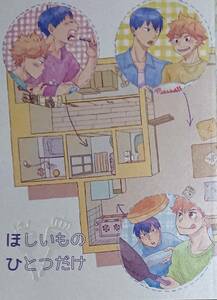 ハイキュー!!同人誌「ほしいものひとつだけ」〈影日〉