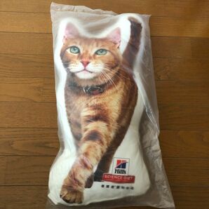 癒し抱き枕　クッション　猫　新品　可愛い　プレゼント