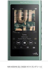 SONY NW-A55HN (G) [16GB ホライズングリーン]（新品未開封品）保証あり