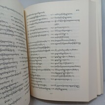 蔵文・英文 西蔵学文献史 Materials for a history of Tibetan literature 縮刷復刻版 臨川書店　定価19000円_画像6