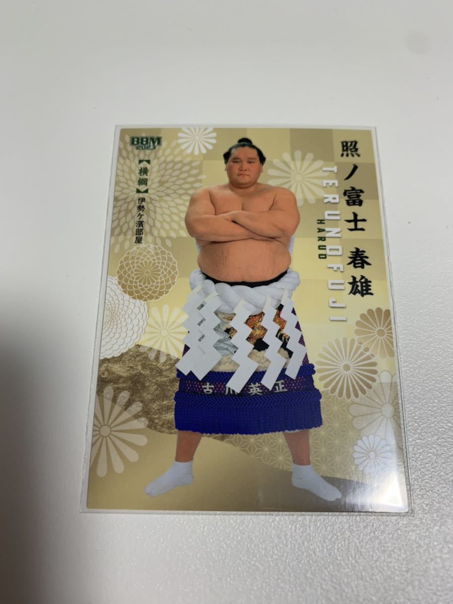 ヤフオク! -「大相撲 照ノ富士」の落札相場・落札価格