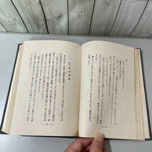 ●古書●新訳 阿含経 友松円諦 昭和9年 東京 進教社/新譯/阿含經/宗教/信仰/思想/歴史/日本史/如来/釈迦/苦行/仏教/佛教 ★4521_画像10