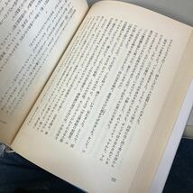 地図にない町で　チズニナイ市奇談　V.カヴェーリン (著) 小宮山俊平 (訳) 理論社 ヴェニアミン・アレクサンドロヴィチ カヴェーリン●4711_画像8