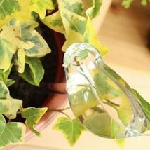 ガーデンオブジェ 給水器 ガラス製 ナチュラル系モチーフ (小鳥)_画像2