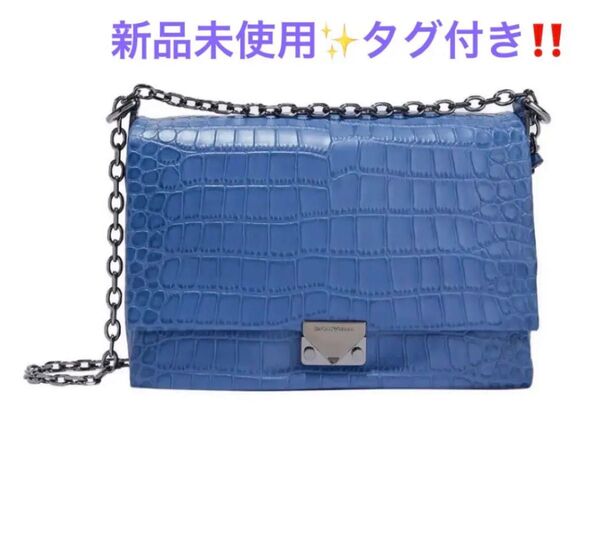 ★一時値下げ！！★ EMPORIO ARMANI レザー クロスボディバッグ＆ショルダーバッグ　2wayバッグ 【新品未使用】