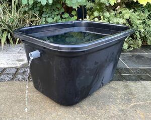 *** medaka breeding container [OF has processed .5 piece set cod i56L black ]*** free shipping ***