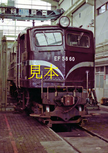 [鉄道写真] EF58 60 浜松機関区 (2275)