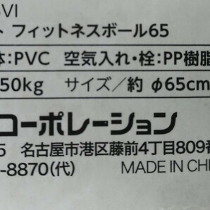 cfny☆武田コーポレーション/ フィットネスボール65cm バランスボール耐荷重150kg 適応身長155～175cm 空気入れ・詮付き【NBF04-65VI】の画像5