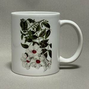 ボタニカルアート　植物画　ジャスミン　マグカップ