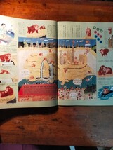 【送料無料】市民グラフ ヨコハマ No.110 季刊 2000年 ズーラシア徹底ガイド（よこはま動物園 水族館 図鑑 野鳥 飼育員 亜熱帯 オセアニア)_画像8