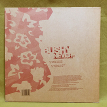 Bushy - Never EP 【UK ORIGINAL 12inch】 Catskills Records (Bonobo Mix) (Carl Faure Mix)_画像2