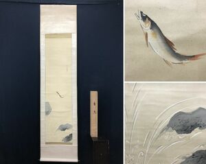 Art hand Auction Autor unbekannt/Süßfisch/Ayu/Springender Süßfisch/Fisch//Hängende Schriftrolle☆Schatzschiff☆AC-269, Malerei, Japanische Malerei, Landschaft, Wind und Mond