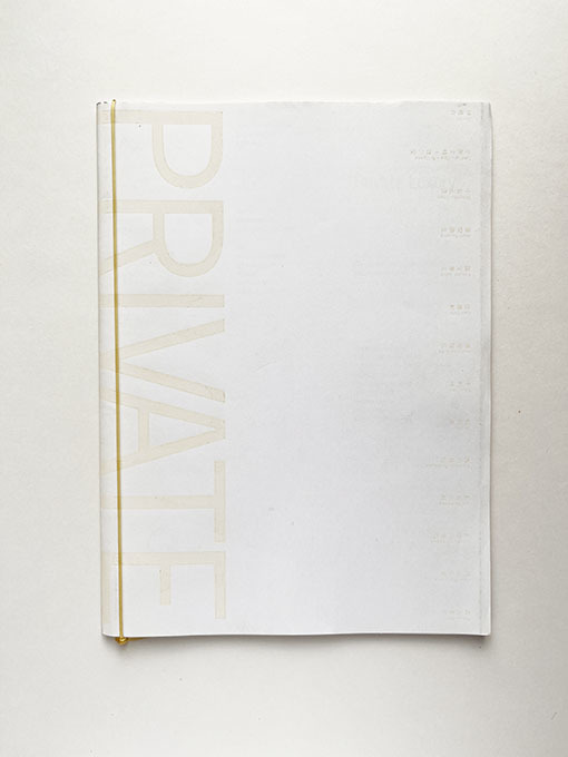 Privater Luxus Yayoi Kusama Mariko Mori, Malerei, Kunstbuch, Sammlung, Katalog