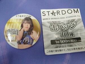 新品　スターダム　缶バッジくじ　WORLD WONDER RING STARDOM　妃南　Bタイプ　ドンキ　ゲオ限定品　格安処分　早い物勝ち