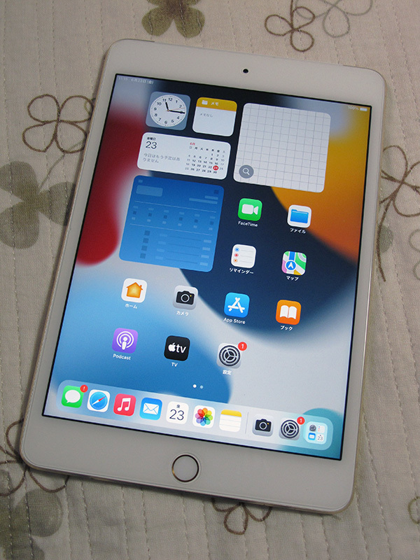 IPAD MINI 4 AU WI-FI+CELL 128G ケース付きです | www.eintauto.com