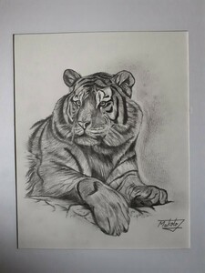 Art hand Auction 鉛筆画 タイガー, 美術品, 絵画, 鉛筆画, 木炭画