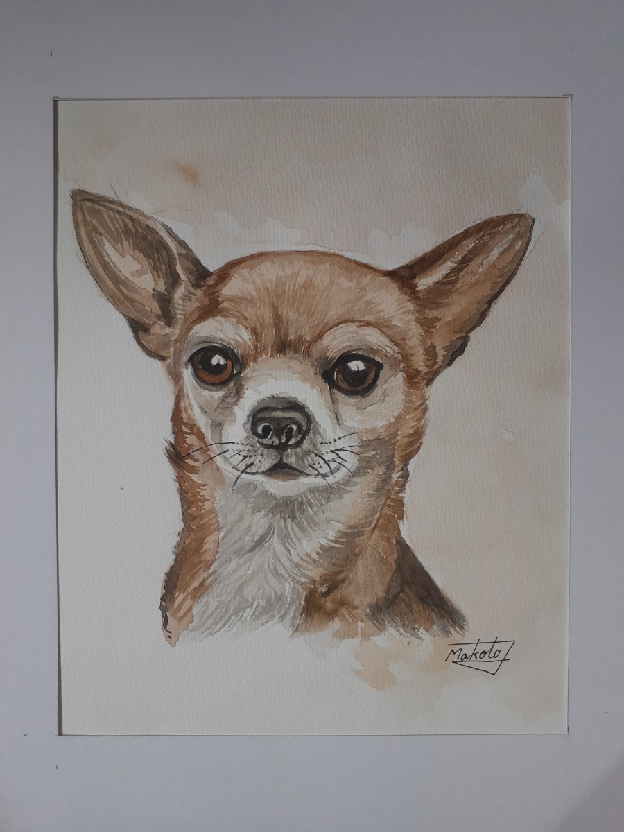 Aquarelle Chihuahua, Peinture, aquarelle, Peintures animalières