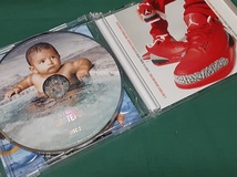 DJ KHALED　DJキャレド◆『グレイトフル』日本盤CDユーズド品_画像3