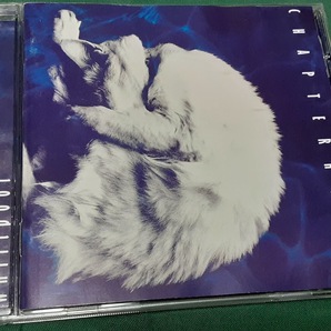 CHAPTERHOUSE チャプターハウス◆『whirlpool』EU盤CDユーズド品の画像1