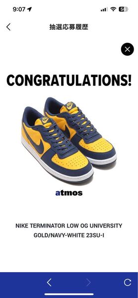 NIKE ナイキターミネーター ロー 28センチ
