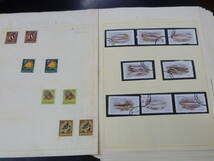 23L　S　№14　動物切手 各種　魚・他　海の生物　計11リーフ　未使用OH・使用済 混合_画像3