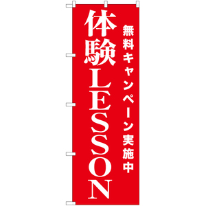 のぼり旗 2枚セット 体験LESSON AKB-1230