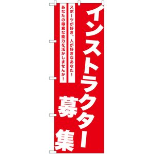 のぼり旗 2枚セット インストラクター募集 AKB-1226