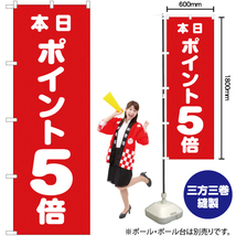 のぼり旗 2枚セット 本日ポイント5倍 AKB-87_画像2