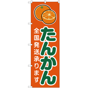 のぼり旗 2枚セット たんかん 全国発送承ります 橙 JA-220