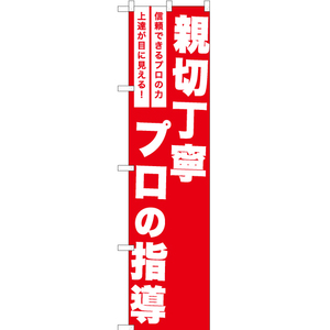 のぼり旗 3枚セット 親切丁寧プロの指導 AKBS-1229