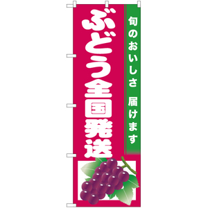 のぼり旗 2枚セット ぶどう全国発送 (赤地) JA-757