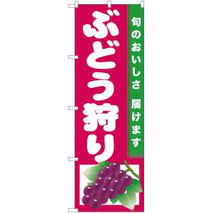 のぼり旗 3枚セット ぶどう狩り (赤地) JA-741