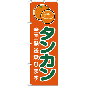 のぼり旗 2枚セット タンカン 全国発送承ります 橙 JA-212