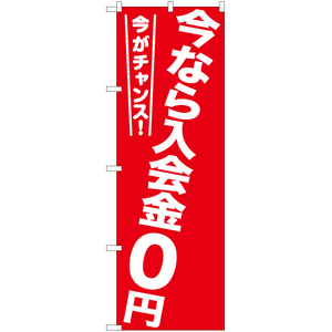 のぼり旗 3枚セット 今なら入会金0円 AKB-1209