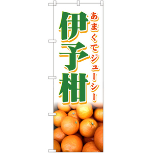 のぼり旗 3枚セット あまくてジューシー 伊予柑 JA-412