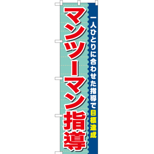 のぼり旗 3枚セット マンツーマン指導 TNS-877