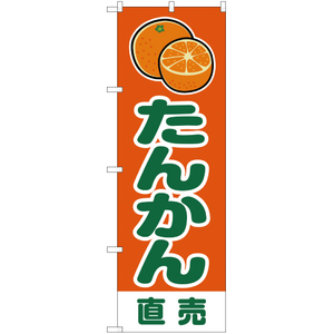 のぼり旗 2枚セット たんかん 直売 橙 JA-222