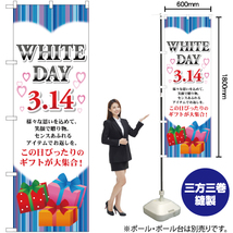 のぼり旗 3枚セット WHITE DAY 3.14 YN-66_画像2