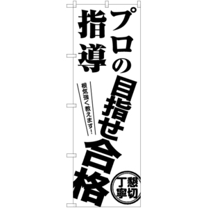 のぼり旗 プロの指導 目指せ合格 SKE-1202