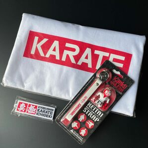 厚手ビッグTシャツセット　●極真空手◆多数出品　kyokushin karate